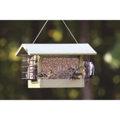 Birds Choice Green Solutions Wild Bird 3 Qt Plastic Hopper Bird Feeder 13 Birds Choice Green Solutions Wild Bird 3 Qt Plastic Hopper Bird Feeder -Nestify Shop 9ad00b98 ebd0 4d86 8155 87232cee9183