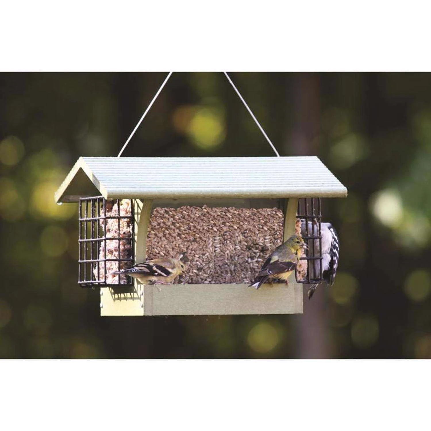 Birds Choice Green Solutions Wild Bird 3 Qt Plastic Hopper Bird Feeder 6 Birds Choice Green Solutions Wild Bird 3 Qt Plastic Hopper Bird Feeder - Image 6
