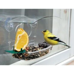 Audubon Wild Bird 1 Lb Plastic Window Mount Bird Feeder 2 Ports 5 Audubon Wild Bird 1 Lb Plastic Window Mount Bird Feeder 2 Ports -Nestify Shop a32b3ea7 050d 4296 89ef e12eb8ef5f9b