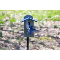 Birds Choice Green Solutions 11.5 In. H X 9 In. W X 6.5 In. L Polyresin Bird House -Nestify Shop a47f035e 7105 4aee bf31 e9052867fd51