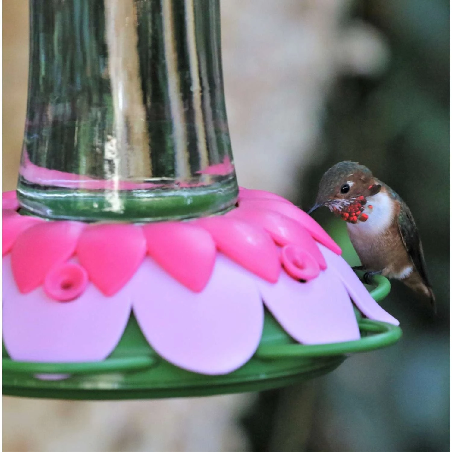 Nature's Way So Real Hummingbird 20 Oz Glass/Plastic Gravity Nectar Feeder 5 Ports 3 Nature's Way So Real Hummingbird 20 Oz Glass/Plastic Gravity Nectar Feeder 5 Ports - Image 3