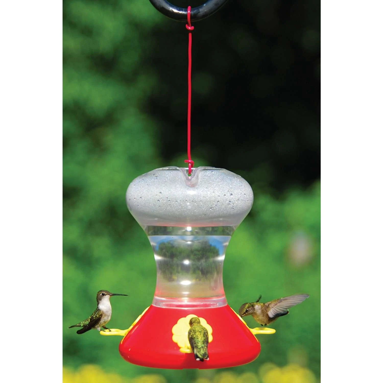 Songbird Essentials Songbird Essentials Hummingbird 30 Oz Plastic Hummingbird Feeder Nectar Feeder 3 1 Songbird Essentials Songbird Essentials Hummingbird 30 Oz Plastic Hummingbird Feeder Nectar Feeder 3