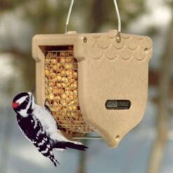 Birds Choice Wild Bird 2 Qt Plastic/Screen Hanging Fruit And Nut Feeder 1 Ports -Nestify Shop acfc0a6c c534 4e0e 94ac 05110a3ccef4
