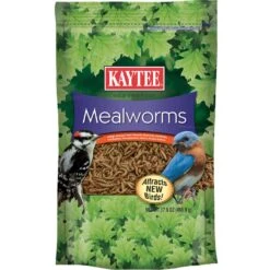 Kaytee Songbird Dried Mealworm Mealworms 17.6 Oz