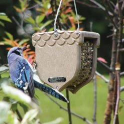 Birds Choice Wild Bird 2 Qt Plastic/Screen Hanging Fruit And Nut Feeder 1 Ports