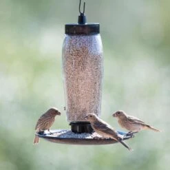 Perky-Pet Wild Bird And Finch 2 Lb Glass Decorative Bird Feeder -Nestify Shop b2c9ec3f 36d9 4d2e b6e6 a67322b781a3