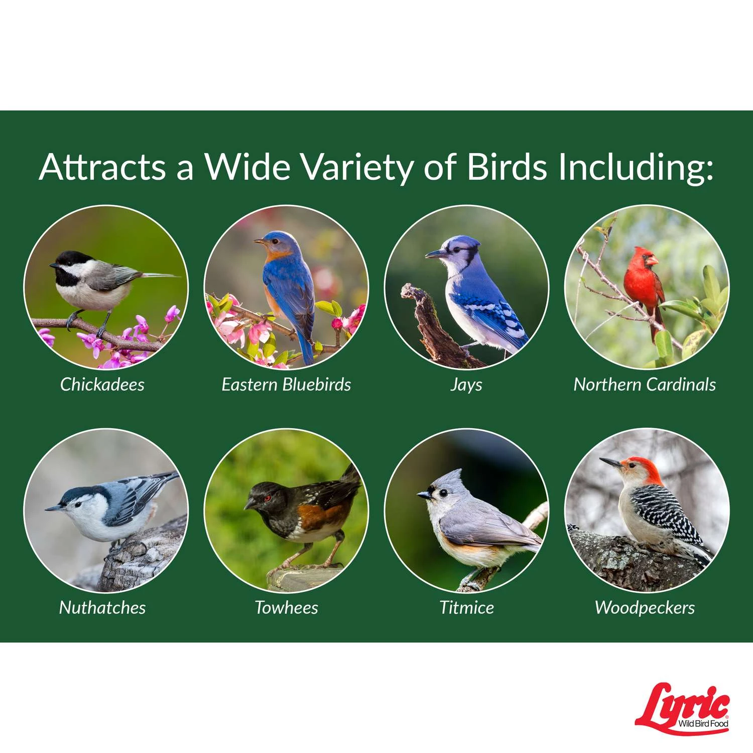 Lyric Chickadee And Nuthatch Peanut Pieces Wild Bird Food 5 Lb 5 Lyric Chickadee And Nuthatch Peanut Pieces Wild Bird Food 5 Lb - Image 5