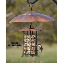 Songbird Essentials Songbird Essentials 6.5 In. H X 16 In. W X 16 In. D Bird Feeder Weather Guard