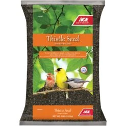 Ace Songbird Thistle Seed Wild Bird Food 8 Lb -Nestify Shop b4b4cf20 6020 44c7 95e7 ce3ecbbdab33