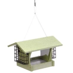 Birds Choice Green Solutions Wild Bird 3 Qt Plastic Hopper Bird Feeder