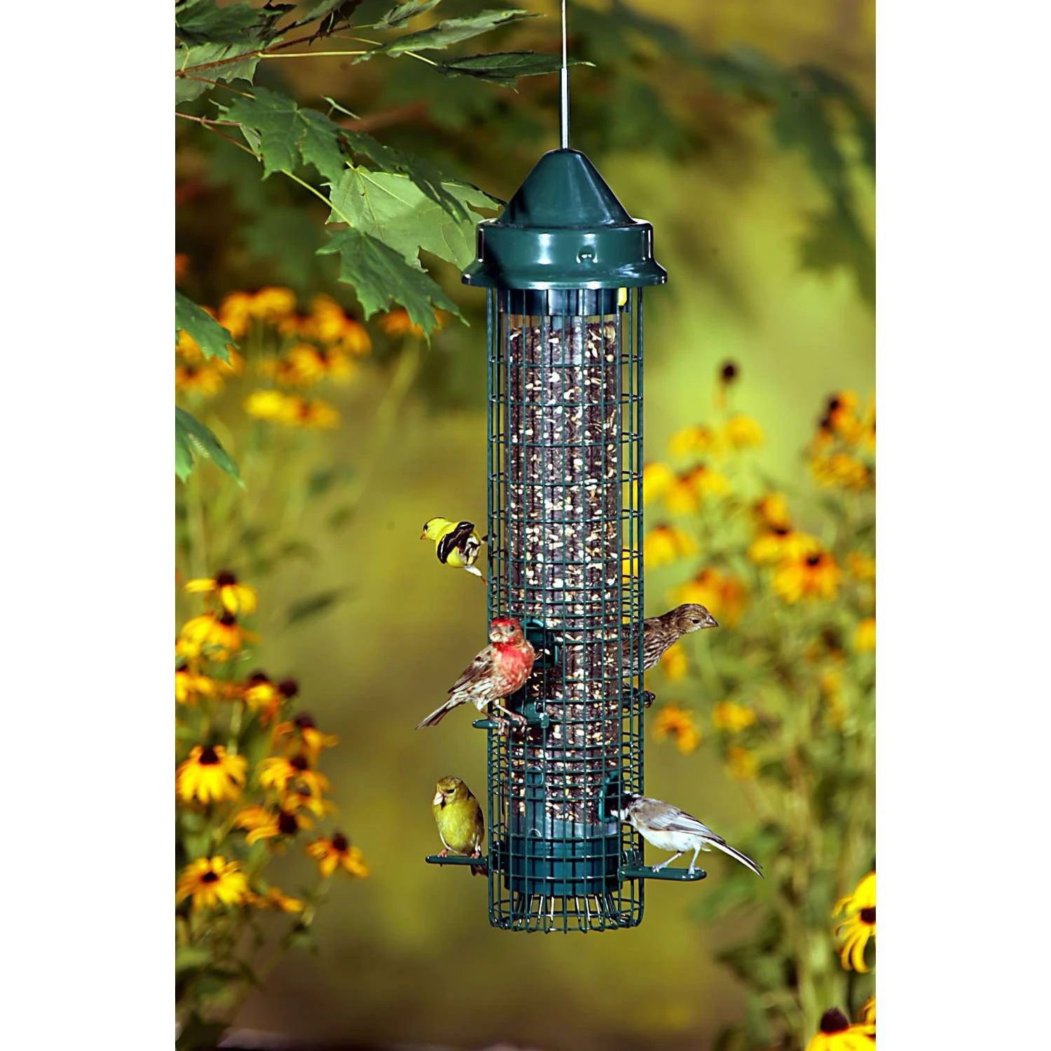 Brome Bird Care SquirrelBuster Songbird 1.4 Lb Metal/Plastic Bird Feeder 1 Brome Bird Care SquirrelBuster Songbird 1.4 Lb Metal/Plastic Bird Feeder