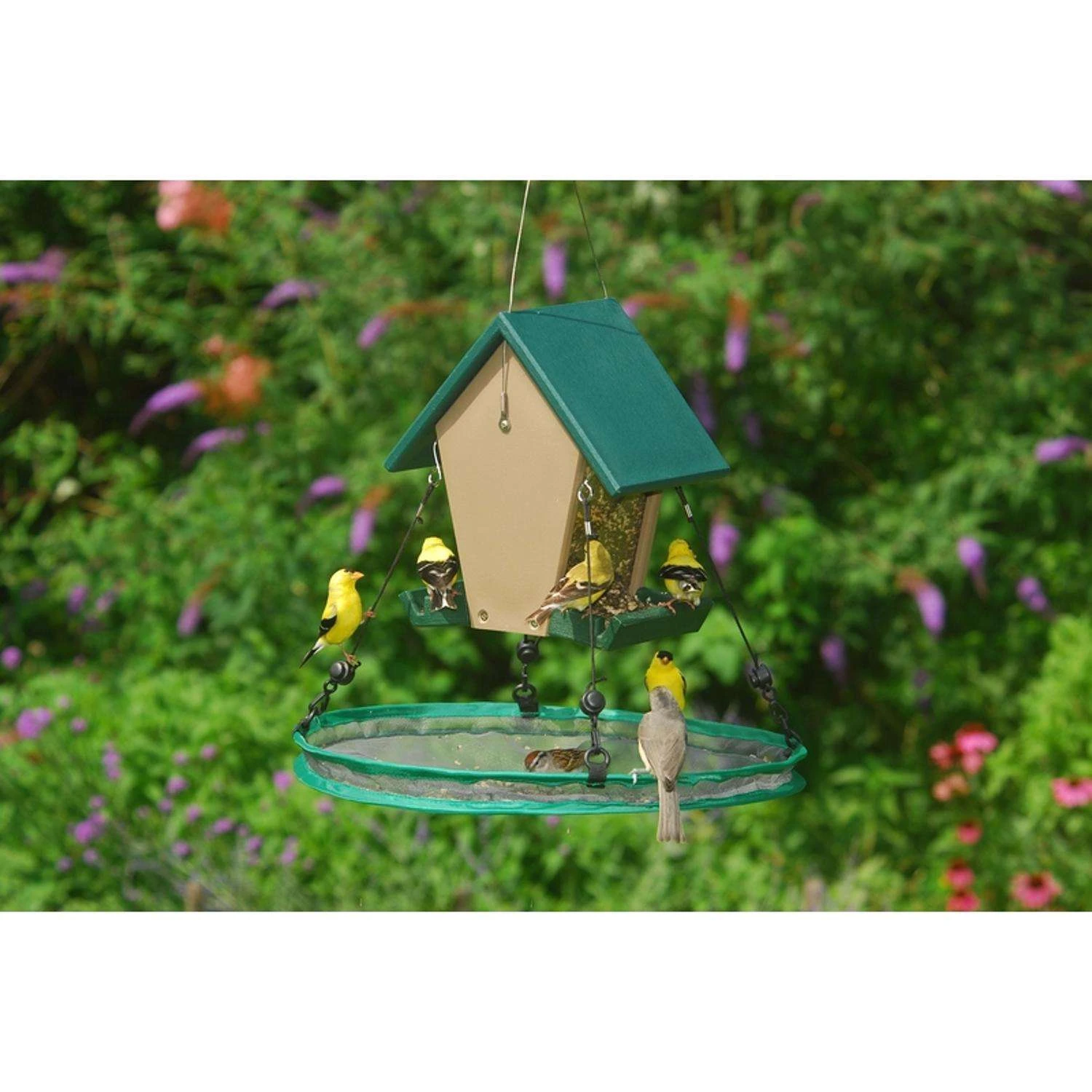 Songbird Essentials 1.13 In. H X 7 In. W X 7 In. D Seed Hoop 1 Songbird Essentials 1.13 In. H X 7 In. W X 7 In. D Seed Hoop