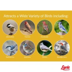 Lyric Assorted Species Black Oil Sunflower Seed Wild Bird Food 5 Lb -Nestify Shop bf97f5be ea9a 4044 9720 fe5895a5ee6b