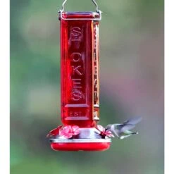 More Birds Hummingbird 19 Oz Glass/Metal Bird Feeder 4 Ports -Nestify Shop c366d15e c88f 46a8 a746 ae9efdb96c4f
