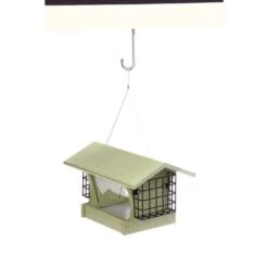 Birds Choice Green Solutions Wild Bird 3 Qt Plastic Hopper Bird Feeder 12 Birds Choice Green Solutions Wild Bird 3 Qt Plastic Hopper Bird Feeder -Nestify Shop c7ace516 18ff 44ef b965 b7f828c8ba0d