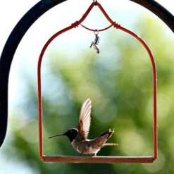 Pop's Birding Company 7 In. H X 5.25 In. W X 0.25 In. D Hummingbird Swing -Nestify Shop c7d38ecd b67a 4bcc 933f 0f6538c94876