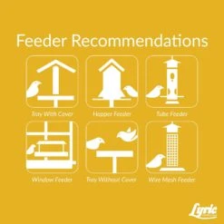 Lyric Assorted Species Black Oil Sunflower Seed Wild Bird Food 10 Lb -Nestify Shop c84b1505 996c 4435 9d92 34ee2f3a645f