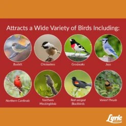 Lyric Cardinal Sunflower Seeds Wild Bird Food 18 Lb -Nestify Shop c96be8e1 a611 4b0e ba58 e1265282c821