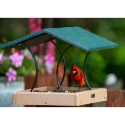 Birds Choice Wild Bird 8 Lb Plastic Fly Thru Bird Feeder -Nestify Shop cbd68e21 4d67 4752 bef2 656bfc5d88a8