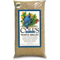 Cole's Assorted Species White Millet Wild Bird Food 20 Lb