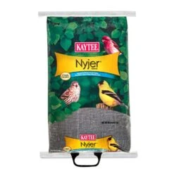Kaytee Nyjer Songbird Nyger Thistle Seed Wild Bird Food 20 Lb