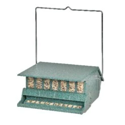 Audubon Wild Bird 9 Lb Steel Hopper Bird Feeder 1 Ports