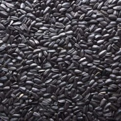 Meadows Ridge Farms All Wild Birds Black Oil Sunflower Seed Bird Seed 40 Lb -Nestify Shop d7b163d3 fce4 40b6 b222 aa1a0e75a398