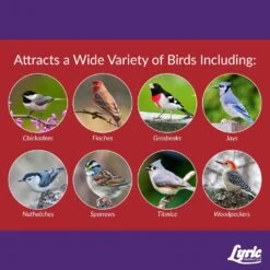 Lyric Delite Chickadee Peanut Pieces Wild Bird Food 20 Lb -Nestify Shop d97844eb 9129 41a2 81d0 44dec9c04bfe