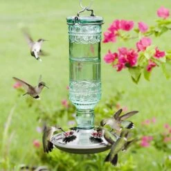 Perky-Pet Hummingbird 10 Oz Glass/Metal Nectar Feeder 4 Ports 7 Perky-Pet Hummingbird 10 Oz Glass/Metal Nectar Feeder 4 Ports -Nestify Shop e1fdb6df bd76 4a64 ad97 682a44fa060e