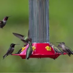 Perky-Pet Hummingbird 30 Oz Glass/Plastic Nectar Feeder 6 Ports -Nestify Shop e554f206 00f8 4c4a 8c76 08443f3890e5