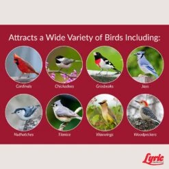 Lyric Assorted Species Fruits And Nuts Wild Bird Food 20 Lb -Nestify Shop e792a1b4 9682 4f50 b369 1901e92c5f56