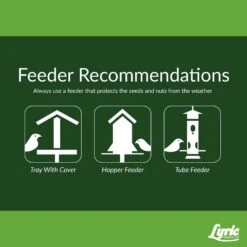 Lyric Fine Tunes Assorted Species Peanut Pieces Wild Bird Food 15 Lb -Nestify Shop e9f2c775 81da 4868 93f0 12c8f649453b