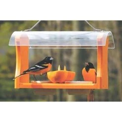 Birds Choice Oriole 2 Cups Plastic Bird Feeder -Nestify Shop edc1143b c5bc 4b28 b493 474fda4f7297