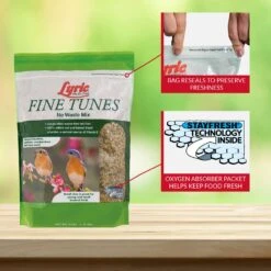 Lyric Fine Tunes Assorted Species Peanut Pieces Wild Bird Food 5 Lb -Nestify Shop f11d06fe a5dd 4097 922b 989612586e77