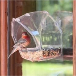 Perky-Pet Wild Bird 1 Cups Plastic Window Bird Feeder 1 Ports -Nestify Shop f3003cbe c97b 414d a1f2 66d316a2e5b6