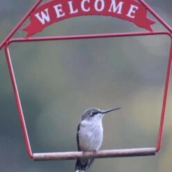 Pop's Birding Company 10.5 In. H X 7.5 In. W X 0.25 In. D Hummingbird Swing -Nestify Shop fbb193c9 458b 4830 bac0 9809b878be5e