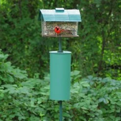 Perky-Pet 14.5 In. H X 7 In. W X 7 In. D Squirrel Baffle Birdfeeder Pole 5 Perky-Pet 14.5 In. H X 7 In. W X 7 In. D Squirrel Baffle Birdfeeder Pole -Nestify Shop fcc8f5c6 b5b8 4e9e b343 62e3b731b7e7