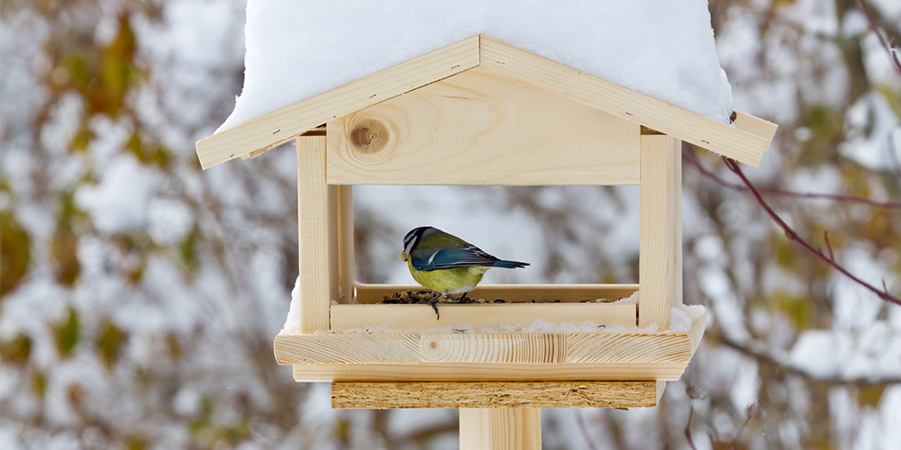 Front Page -Nestify Shop banner761